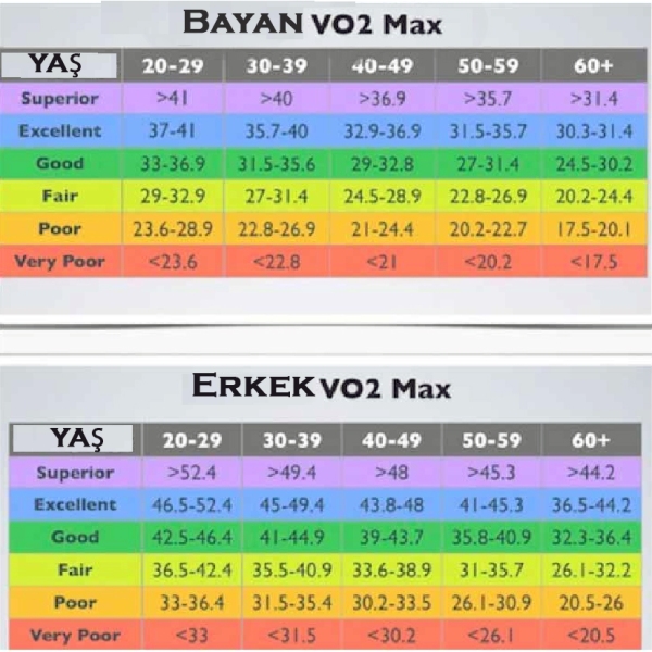 Second max. Vo2 Max таблица. Vo2max и пульсовые зоны. Абсолютный Макс vo2. Vo2 Max таблица по возрасту.